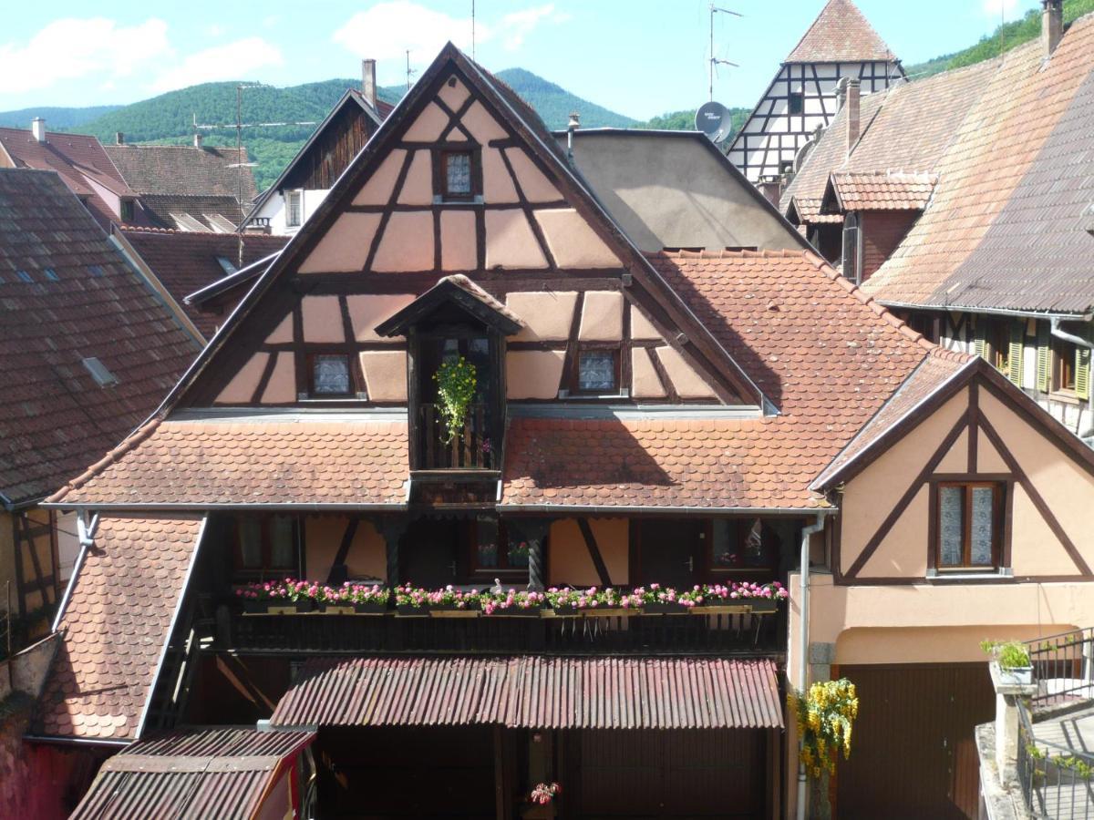 Le Seigle, La Cour Des Meuniers Apartment Kaysersberg-Vignoble Ngoại thất bức ảnh